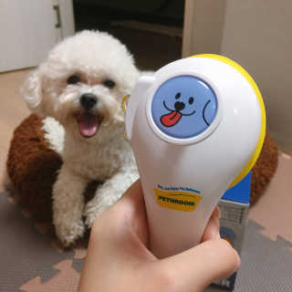 Pethroom 페스룸 PETHROOM RELAX SHOWER 페스룸 릴렉스 샤워기 — 5점을 준 리뷰어가 2018년 11월 올린 사용 사진