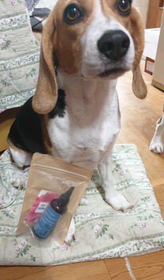 beaglelove님이 올린 리뷰 사진 2
