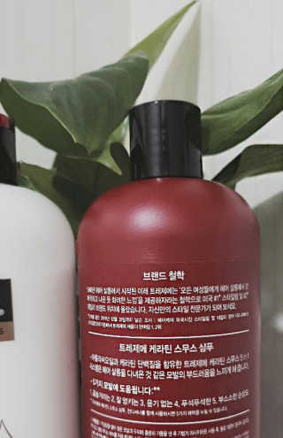 콜라보.P님이 올린 리뷰 사진 3