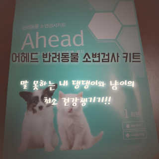 해피하늬님이 올린 리뷰 사진 1