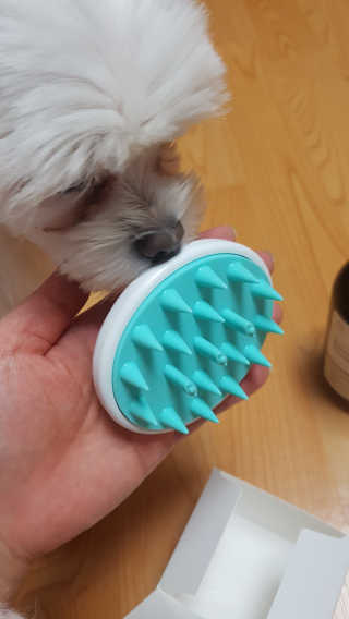 달리프 베러 퍼퓸 샴푸 1000ml 레이니데이 or 일랑로즈 — 5점을 준 리뷰어가 2018년 11월 올린 사용 사진