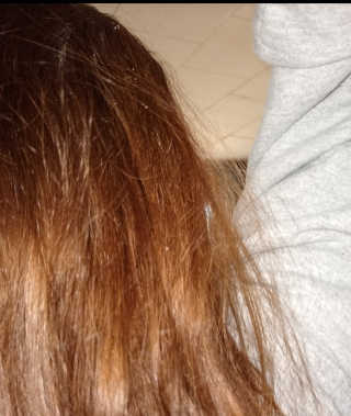 gaylarwilliams님이 올린 리뷰 사진 3