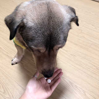 쪼똥님이 올린 리뷰 사진 3