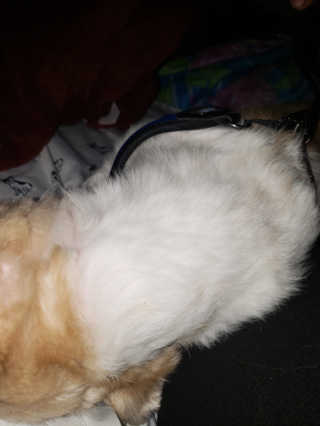 inu님이 올린 리뷰 사진 3