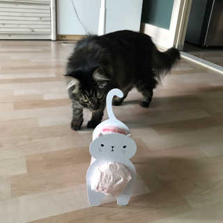 손인수님이 올린 리뷰 사진 4