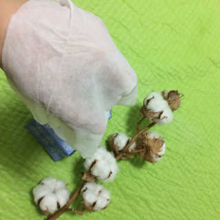 제진영님이 올린 리뷰 사진 2