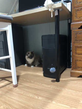 정봐기린님이 올린 리뷰 사진 3