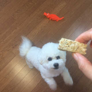 김승희님이 올린 리뷰 사진 4