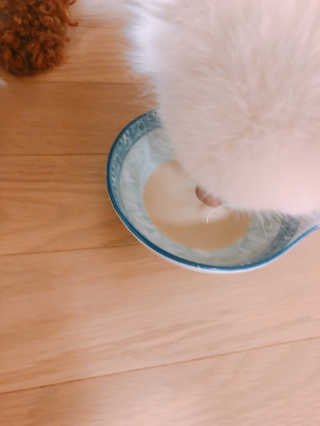으냐님이 올린 리뷰 사진 1