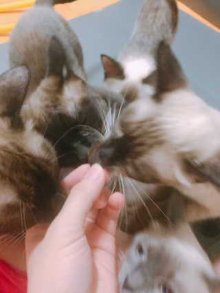 은디님이 올린 리뷰 사진 2