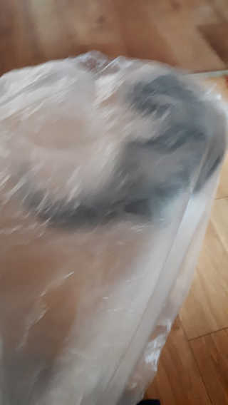 [펫토리아] BEST 한큐뚝딱 고양이 후드형 화장실 — 5점을 준 리뷰어가 2019년 1월 올린 사용 사진