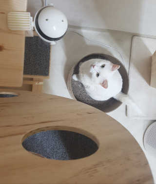 IS2UL님이 올린 리뷰 사진 1