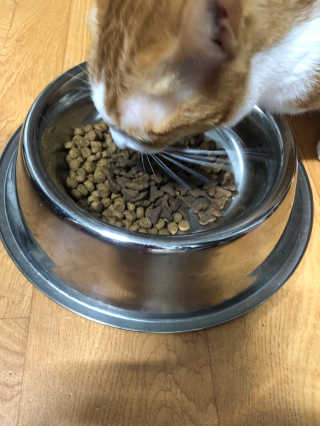 스윗님이 올린 리뷰 사진 1