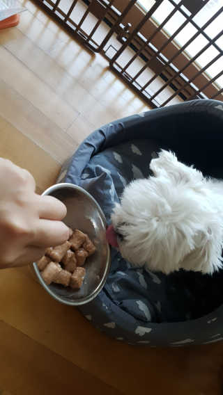 루루님이 올린 리뷰 사진 2