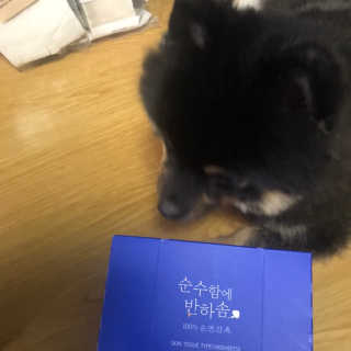 정아님이 올린 리뷰 사진 3