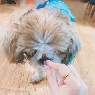 최수영님이 올린 리뷰 사진 3