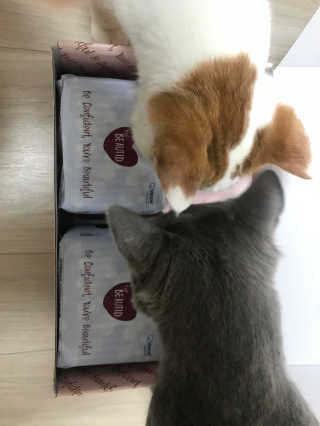 효성님이 올린 리뷰 사진 1