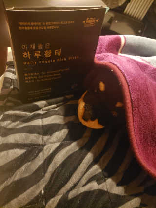 MizzTee님이 올린 리뷰 사진 3