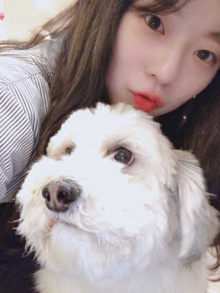 코로롱님이 올린 리뷰 사진 2