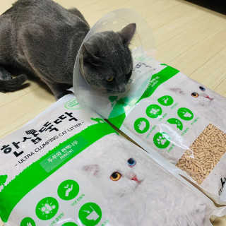 [펫토리아] BEST 고양이두부모래 6L 한삽뚝딱 — 4점을 준 리뷰어가 2019년 2월 올린 사용 사진