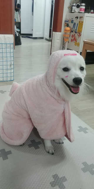 EunJeongKong님이 올린 리뷰 사진 3