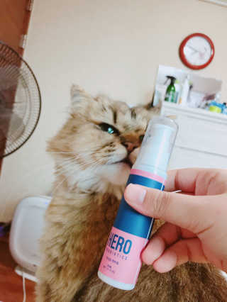 하린님이 올린 리뷰 사진 1