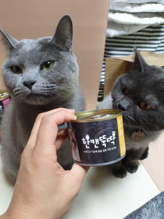 쯀맘님이 올린 리뷰 사진 1