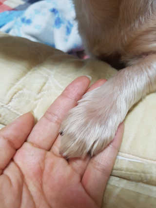 정원님이 올린 리뷰 사진 2