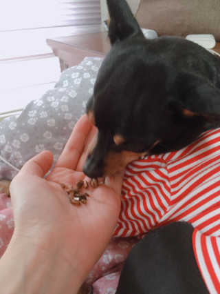 kkkkki님이 올린 리뷰 사진 1