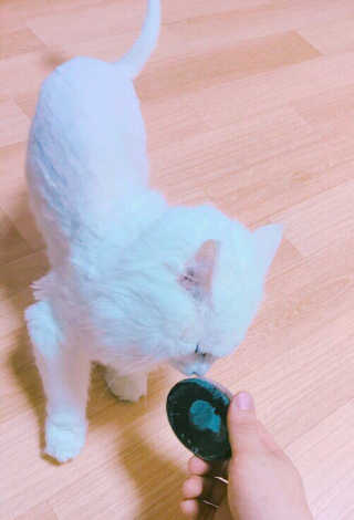 보름달님이 올린 리뷰 사진 1