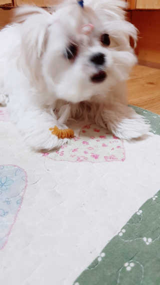 투빈맘님이 올린 리뷰 사진 2