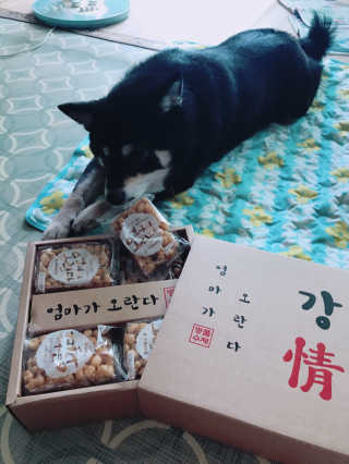 포장마차님이 올린 리뷰 사진 1