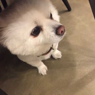항니님이 올린 리뷰 사진 4