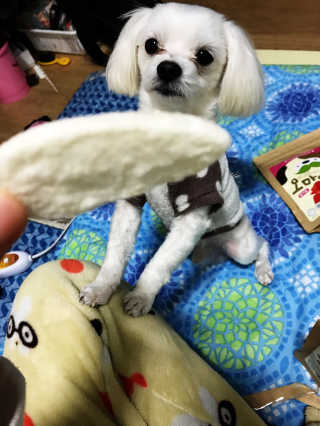 죽미님이 올린 리뷰 사진 4