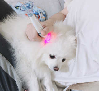 꾸눙맘님이 올린 리뷰 사진 3