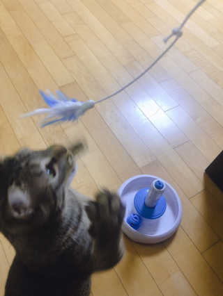 후크님이 올린 리뷰 사진 3