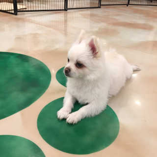 주히님이 올린 리뷰 사진 4