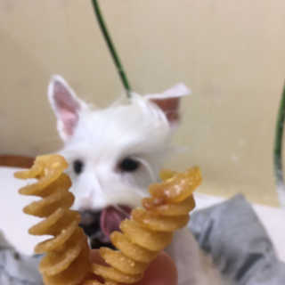 솔이님이 올린 리뷰 사진 2