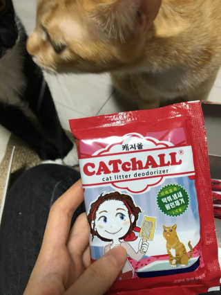 라멜님이 올린 리뷰 사진 3