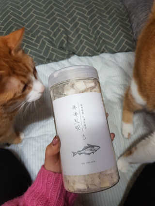 펫프렌즈 [면역력강화]첨가 북어 100퍼센트 촉촉트릿 북어 80g — 5점을 준 리뷰어가 2020년 1월 올린 사용 사진