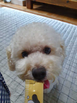 호두맘님이 올린 리뷰 사진 3