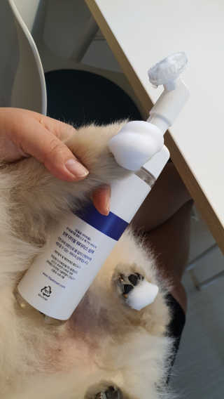 공삼님이 올린 리뷰 사진 1