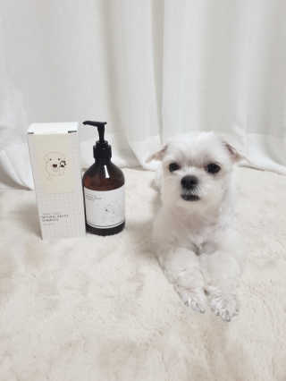 복댕어멈님이 올린 리뷰 사진 2