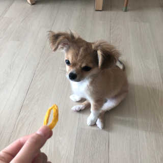 가은님이 올린 리뷰 사진 2