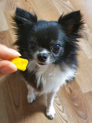 쏭야님이 올린 리뷰 사진 4