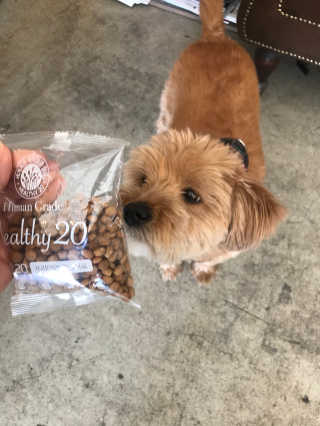 조언니님이 올린 리뷰 사진 3