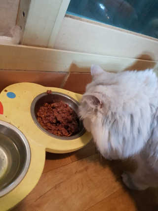 KyoungHunKi님이 올린 리뷰 사진 4