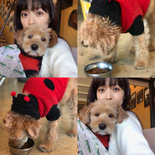 조언니님이 올린 리뷰 사진 3