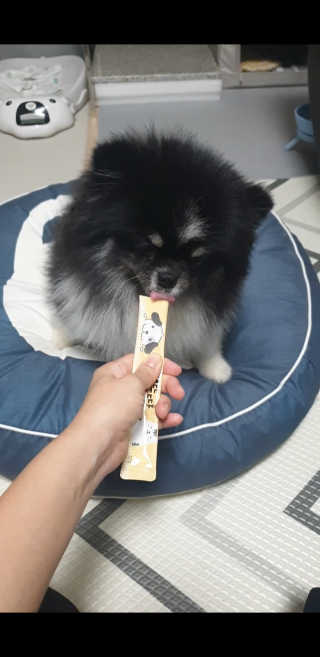[펫토리아]짜먹는 한입뚝딱 강아지.고양이 마약간식 — 5점을 준 리뷰어가 2019년 7월 올린 사용 사진