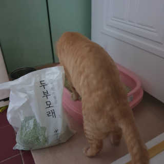 윤윤커플님이 올린 리뷰 사진 2